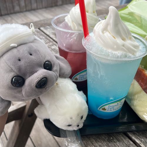 しながわ水族館🐟で急いで撮った一枚🦭💦
ソフトクリーム🍦が溶けちゃう〜🦭💦