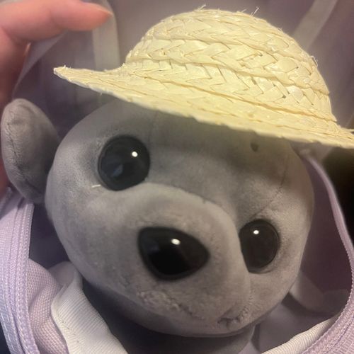 あつい日は麦わら帽子👒きゅ〜🦭
ママとおでかけうれしいきゅ〜🦭