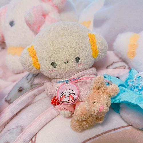 わたしのお気に入りのうさぎさんですみゅん🐇🤍☺️