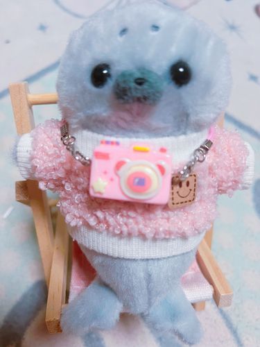 カメラ📸ぷー🦭