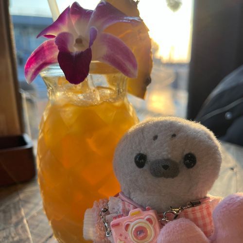 夕日が、エモい！！！ぷーーー！！！🦭🍹🌅