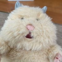 はむきち