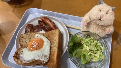 主さんの あさごはん でち！