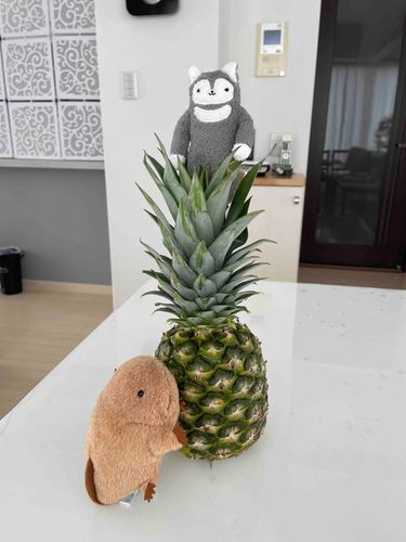 あっ、降りられなくなっちゃった💦助けを呼んでくるほあ〜！
