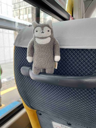 今日はバスに乗って、ちょっと遠くまでお出掛けだよ