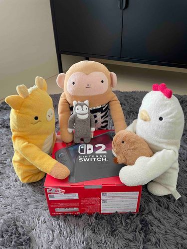 緊急会議！主がとうとう買っちゃったよ！ゲーム三昧にならないように、ぼくたちで管理しなくちゃね