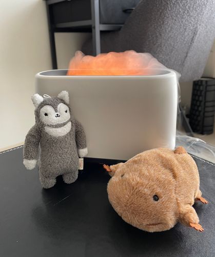 まだまだ乾燥の季節
僕たちも潤っちゃうよ！にしてもこの加湿器、幻想的な感じが主のお気に入りなんだけど、とんでもなくジージーいうんだよね💦