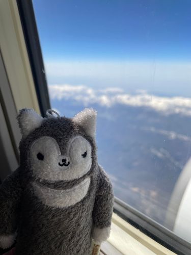 飛行機に乗って遠くまでお出掛けだよ！空の旅は2度目だけど…やっぱりちょっと怖いなぁ〜