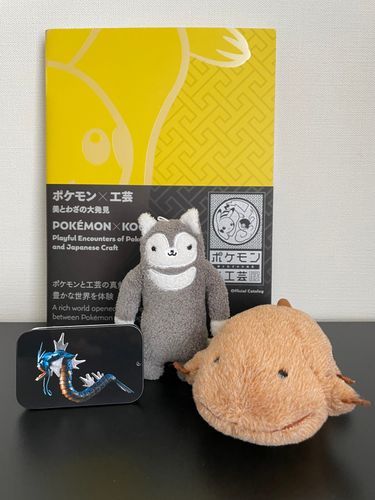 ポケモン工芸展の購入品だよ！当日は高くて購入を躊躇した本、結局後になってわざわざ買いに行ってたよ