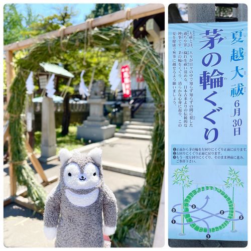 骨董市の会場になっている神社に行ったら、どでかい輪が設置してあったよ！なんか主がグルグルくぐってた笑