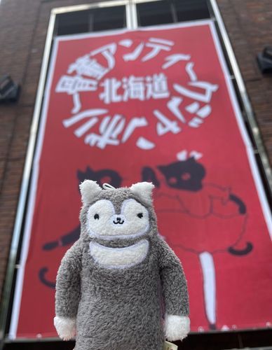 大きな規模の骨董市に行って来たよ！