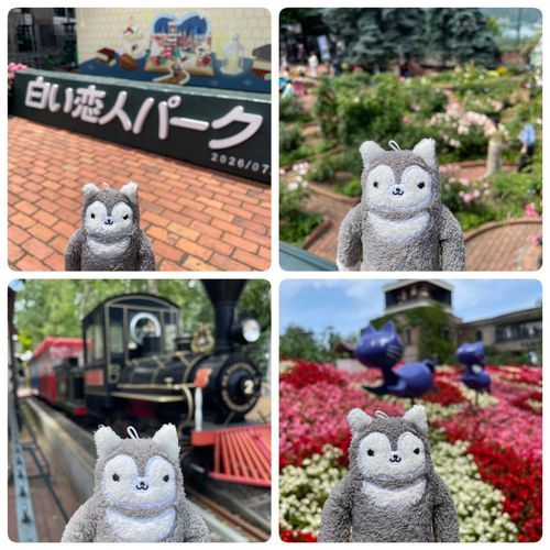 白い恋人パークだよ！まだ咲き揃ってない所もあったけど、結構混んでたなぁ