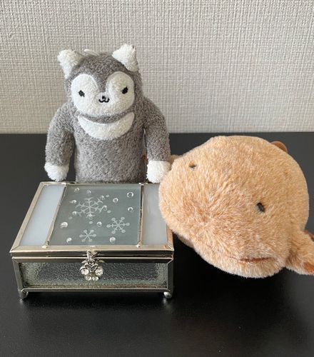 小樽の購入品だよ！僕たちの宝物入れにしようね