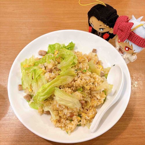 ボンちゃんの家のじゃみるとかりむがレタス炒飯を食べに行った写真だぞ