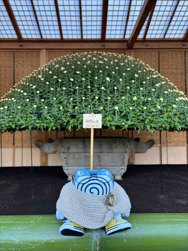 秋晴れのお散歩はとても気分が良かったぞ②