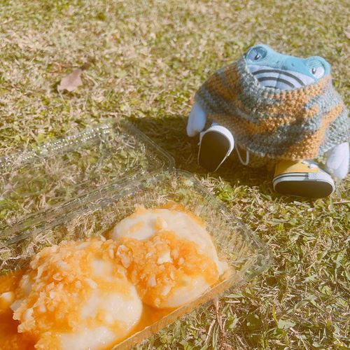 美味しいからみもち食べたぞ
ほかほかだったぞ