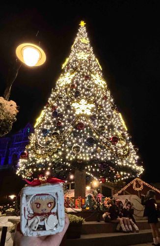 かりむがクリスマスツリーと撮ったらしいぞ
じゃみるは休憩してたらしいぞ