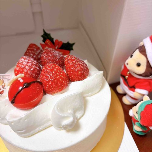 昨日サンタさんがボンちゃん家にケーキを持ってきてくれたぞ