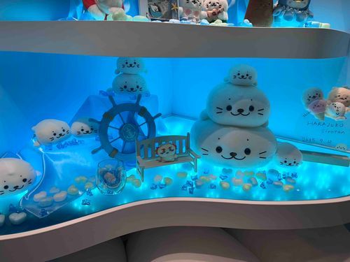 しろたんとしーさー🌊