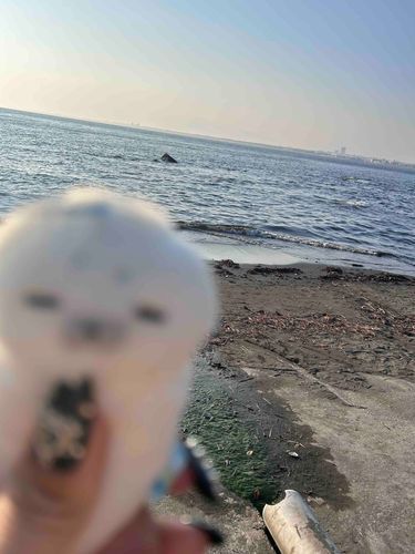 海だね〜
