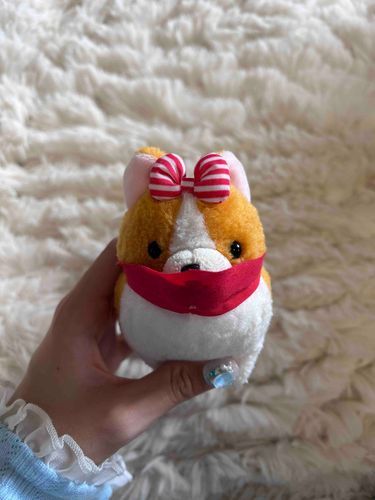ギャングはなちゃん