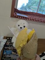 ごまちゃん