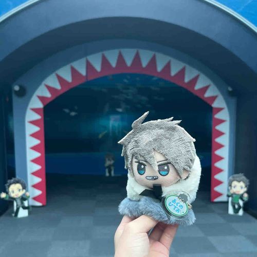 さめ❕🦈