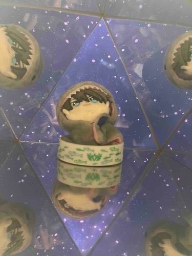 おれが たくさん……🪼