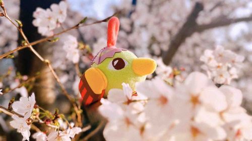春を楽しむネイティ🌸