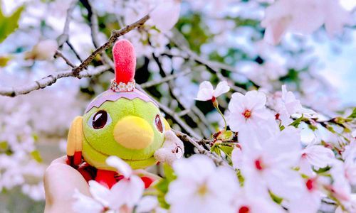 イースターネイティちゃんもお花見してました🌸🥚