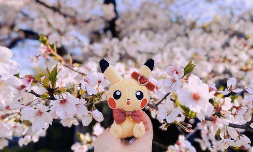 ⚡️🌸