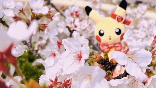 初めての桜に興味津々💡
