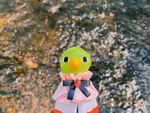 春の川🫧