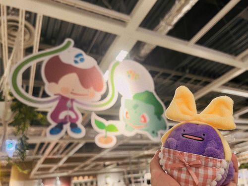🌱💜

※4月撮影