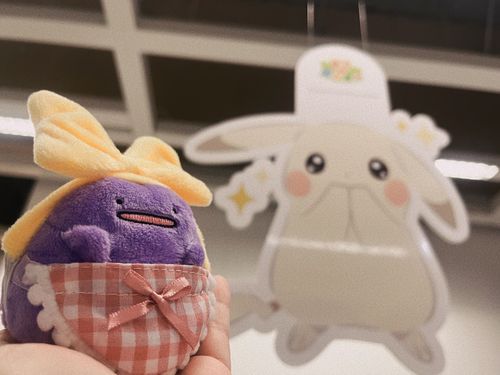 🤍✨️

※4月撮影