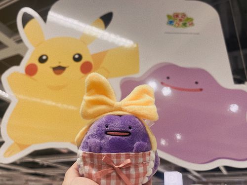 💛💜

※4月撮影