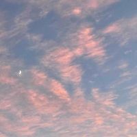 しーら