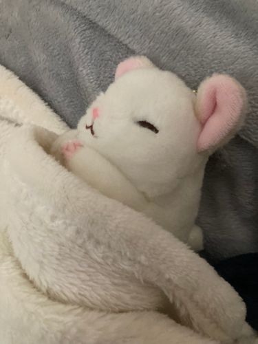おはようございます☁️
今日は雨になるらしいからメイクも髪もてきと〜

てきと〜に頑張るぞ🥱