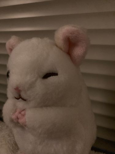 仕事つかれて落ち込むちゃむ…