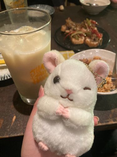 美味しい居酒屋さんみっけ！