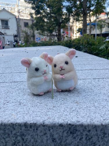 お友達！