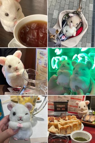かわいい僕をいっぱい！
