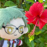 トレぬい（1）