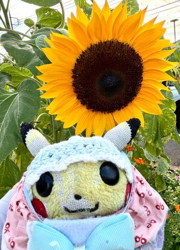 向日葵のような男の子だねとよく言われます🌻