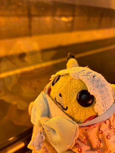 どこかに行くよー🚌🚌