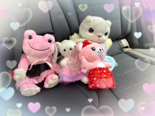 今日は車に乗ってお出かけ！