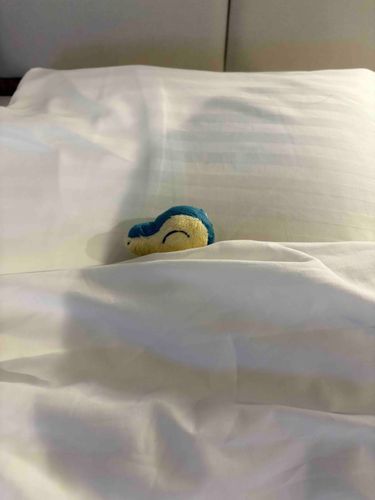🛏️