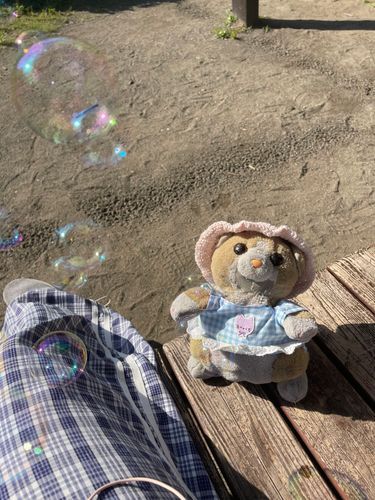 さいきんはあつくてみんなだいじょうぶ？ぷりんもおうちにいることがおおくなりました！まだすずしかった5がつ6がつはこうえんまでおさんぽしてほごしゃがしゃぼんだまとかみせてくれたなーなにかおうちでもたのしくなれるかぷりんもかんがえてほごしゃにていあんしてみます！