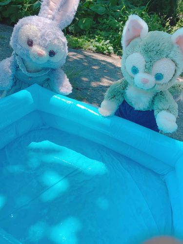 あつい夏はプールにかぎるよね！ひっこすまえはこうしてお庭でルーちゃんといっしょにプールしたの楽しかったなー今はお家がせまくて出来ないけどねぇねにたのんでおへやでできないかたのんでみようかな…