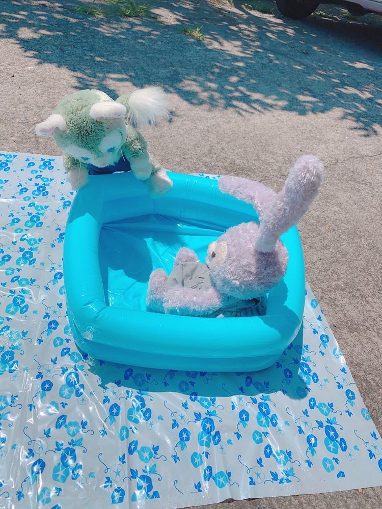 あつい夏はプールにかぎるよね！ひっこすまえはこうしてお庭でルーちゃんといっしょにプールしたの楽しかったなー今はお家がせまくて出来ないけどねぇねにたのんでおへやでできないかたのんでみようかな…